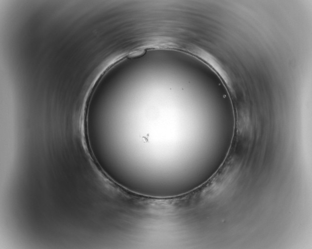 X0000096970861200802221401