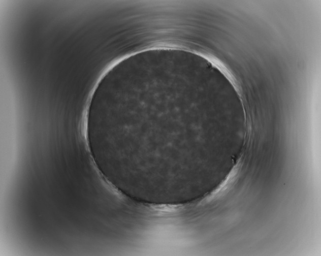 X0000096970862200802221401