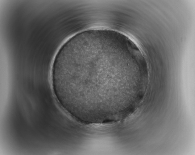 X0000096970864200802221401