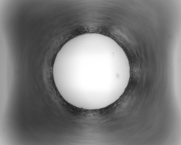 X0000096970865200802221400