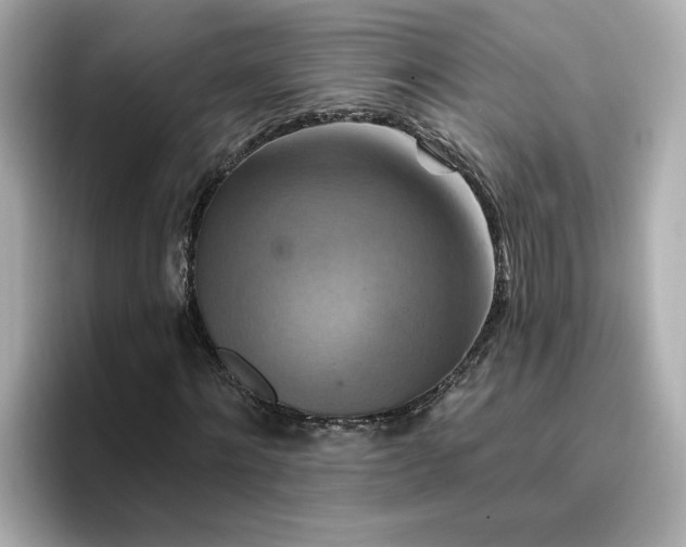 X0000096970868200802221400