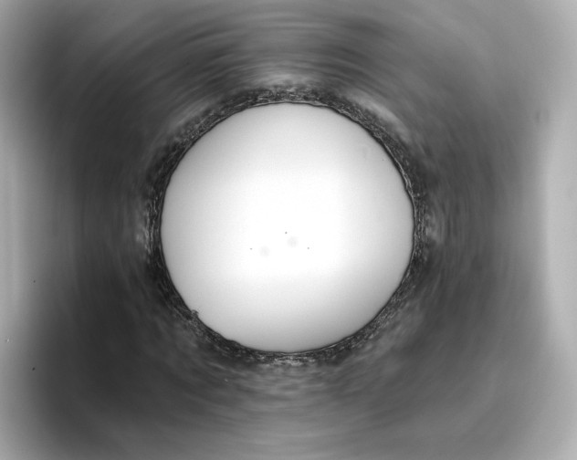 X0000096970869200802221400