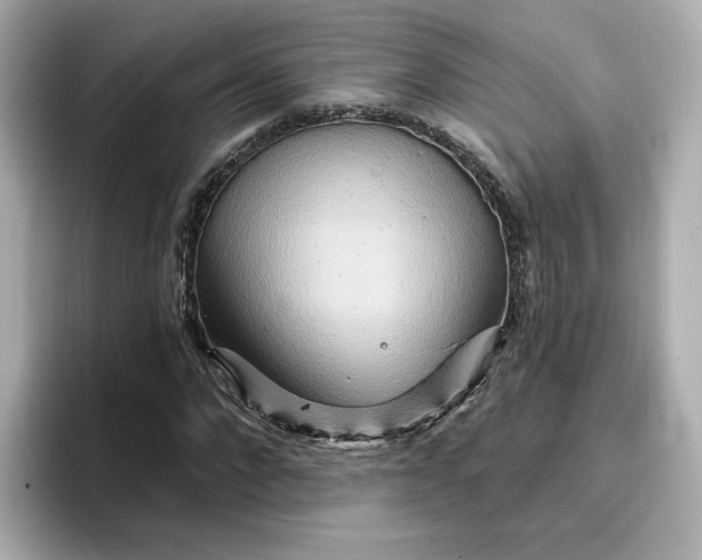 X0000096970872200802221400