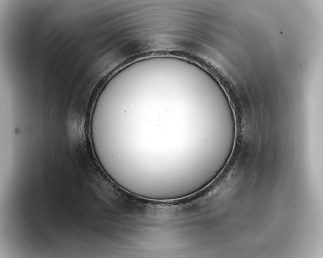 X0000096970873200802221400