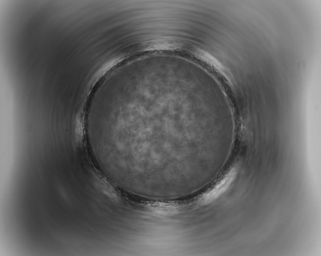 X0000096970874200802221400