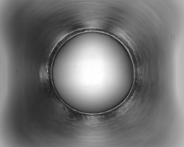 X0000096970875200802221400