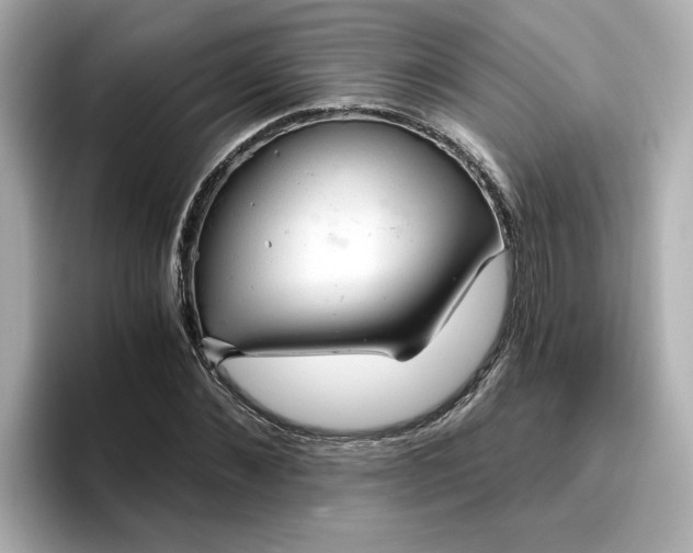 X0000096970876200802221400