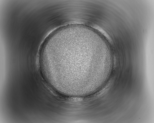 X0000096970878200802221400