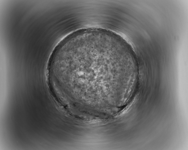 X0000096970879200802221400