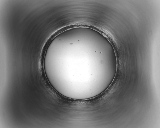 X0000096970880200802221400