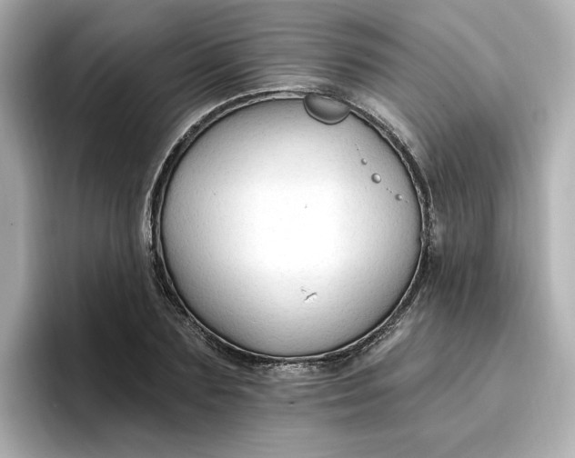 X0000096970883200802221400