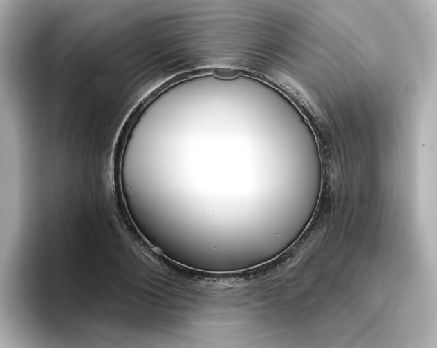 X0000096970884200802221400