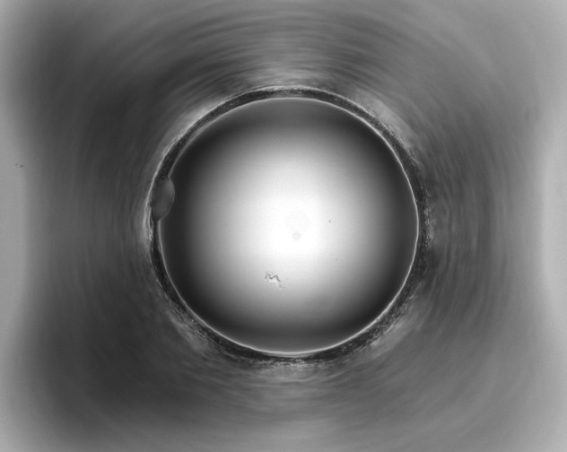 X0000096970885200802221400