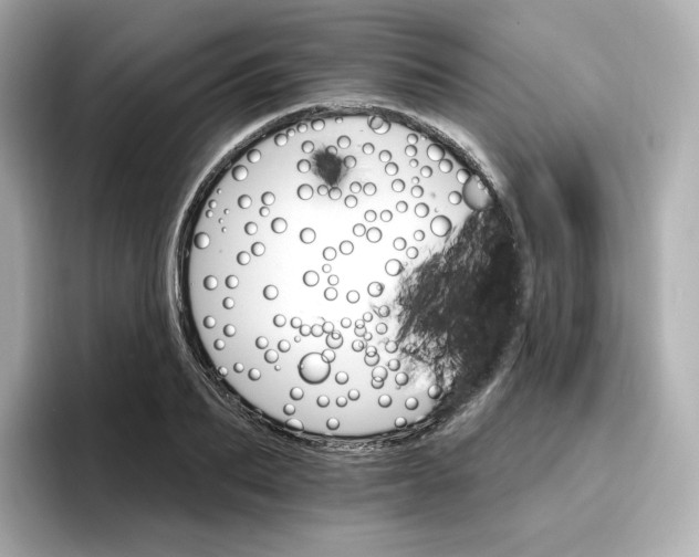 X0000096970887200802221400