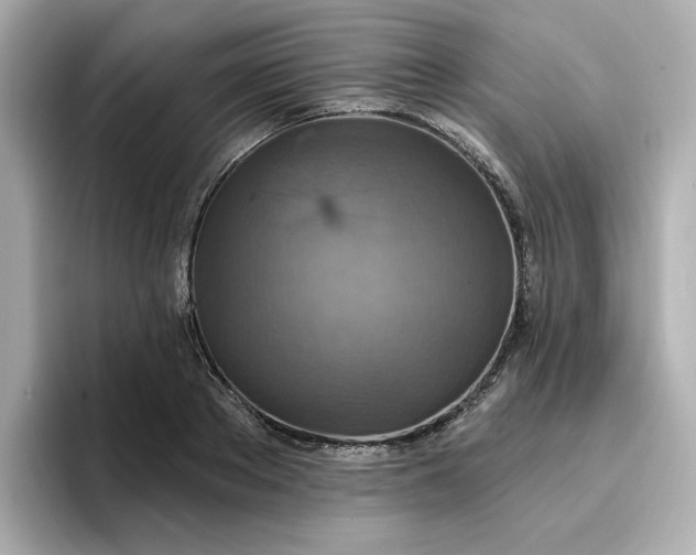 X0000096970889200802221400