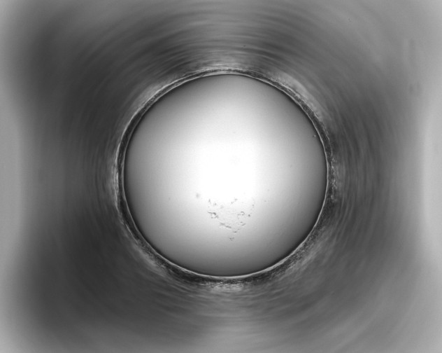 X0000096970890200802221400