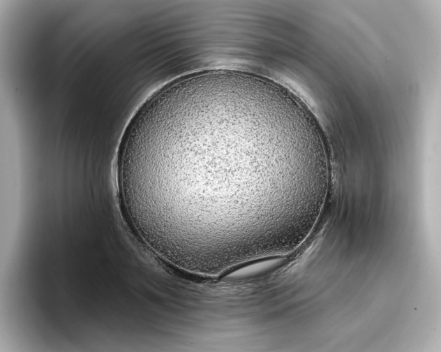 X0000096970891200802221400