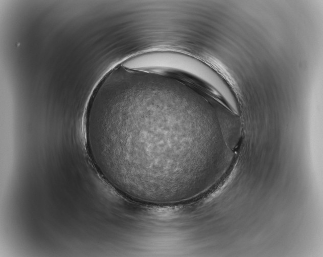 X0000096970892200802221400