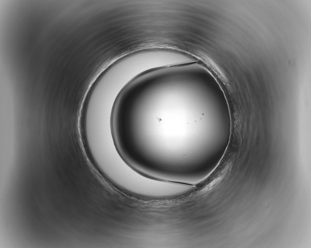 X0000096970893200802221400