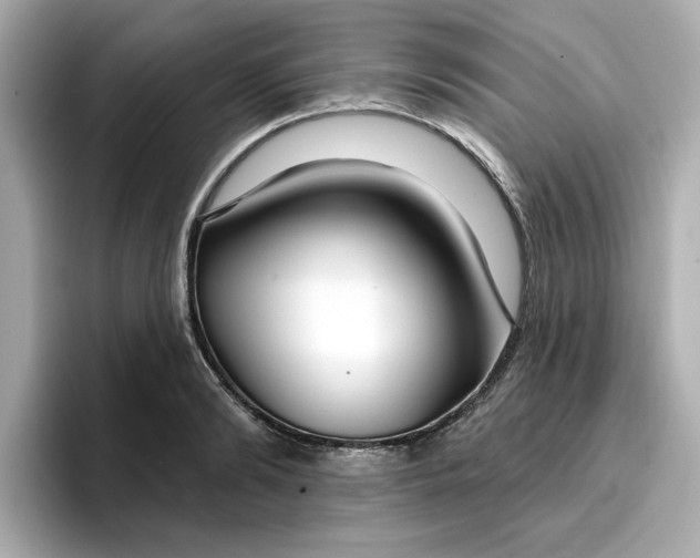 X0000096970894200802221400