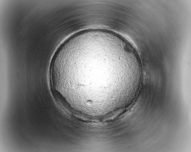 X0000096970895200802221400