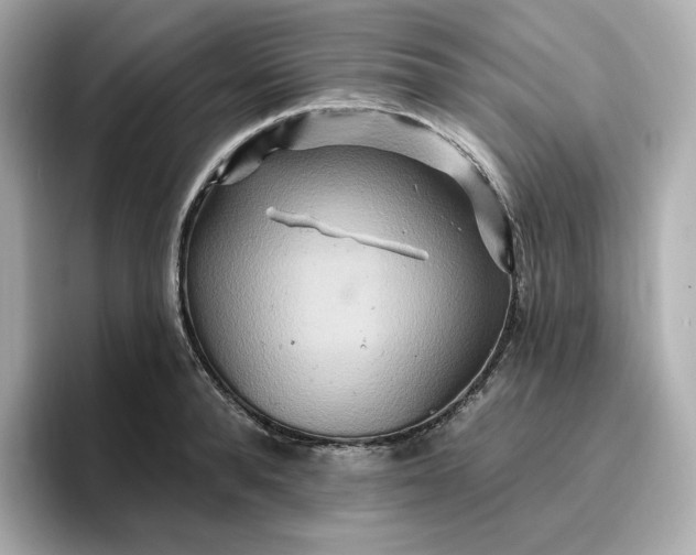 X0000096970896200802221400