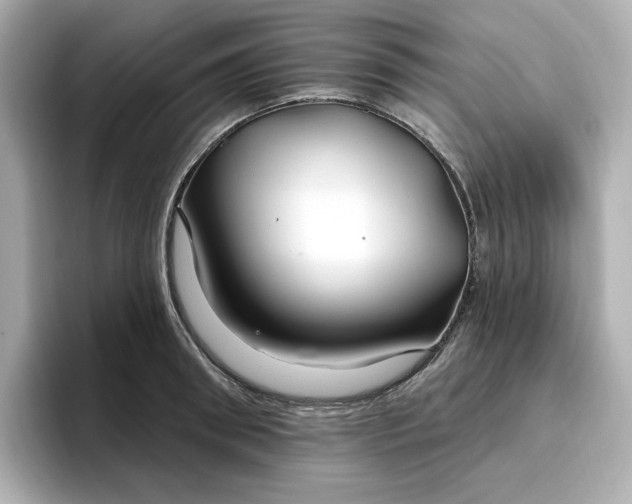 X0000096970898200802221400