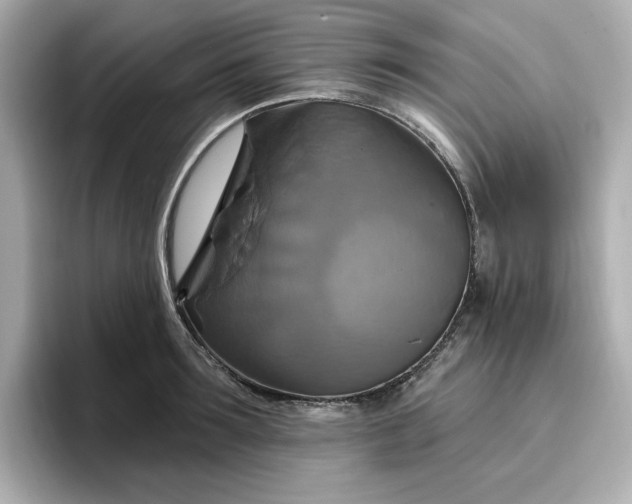 X0000096970899200802221400