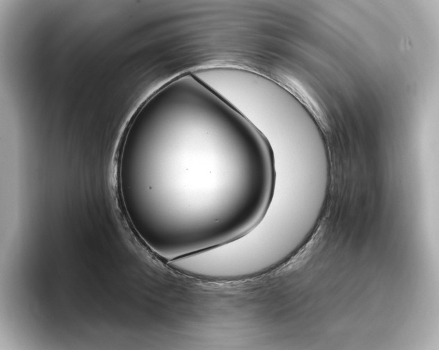 X0000096970900200802221400