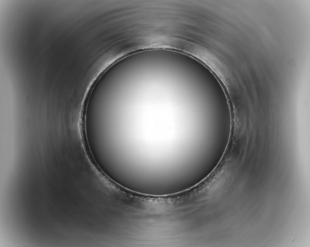 X0000096970901200802221400