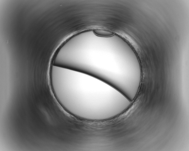 X0000096970902200802221400