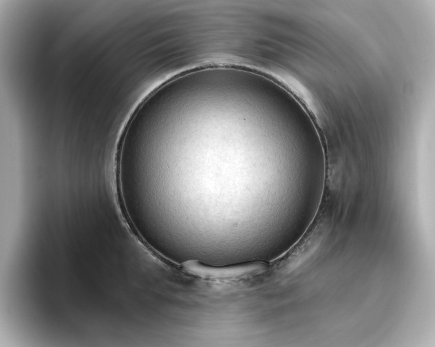 X0000096970903200802221400