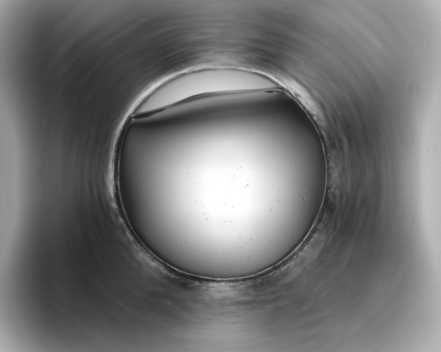 X0000096970904200802221400