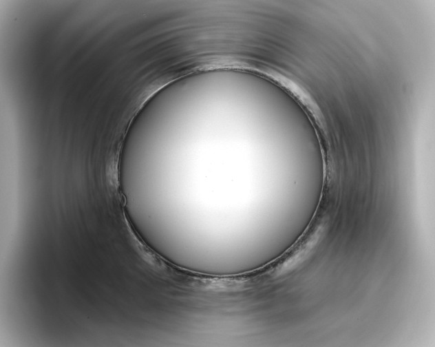 X0000096970905200802221400