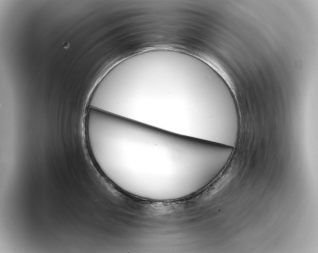 X0000096970906200802221400