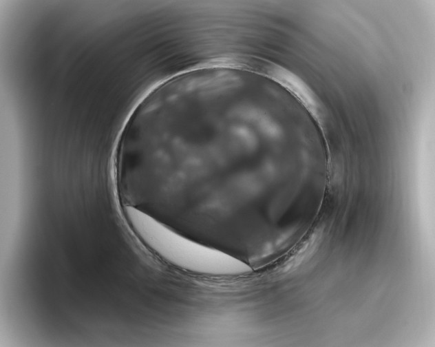 X0000096970907200802221400