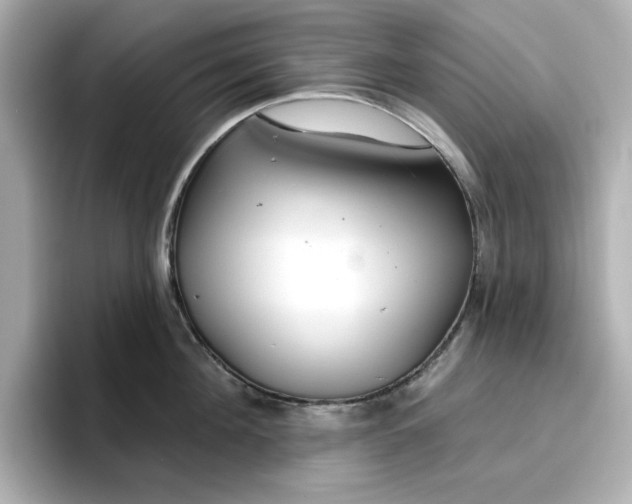 X0000096970908200802221400