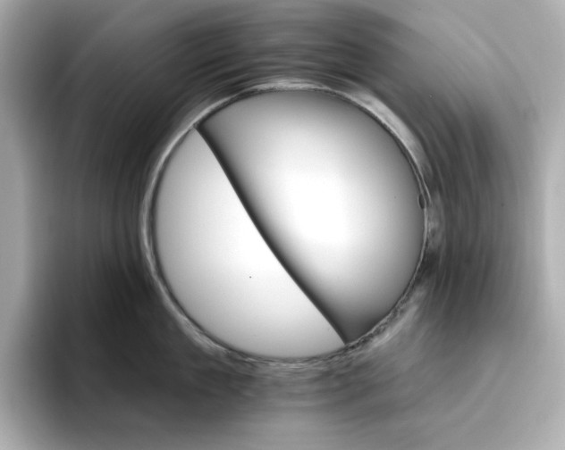 X0000096970909200802221400