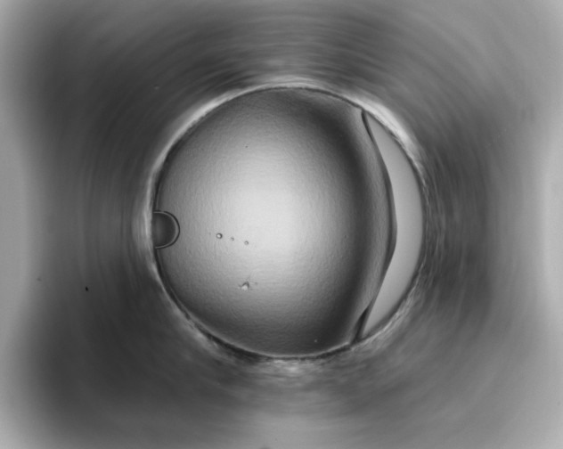 X0000096970910200802221400