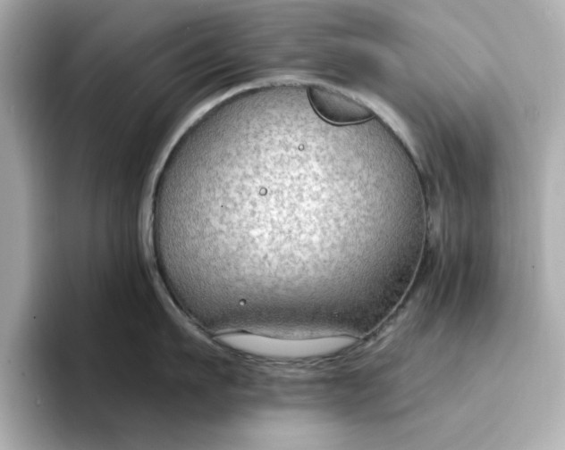 X0000096970911200802221400