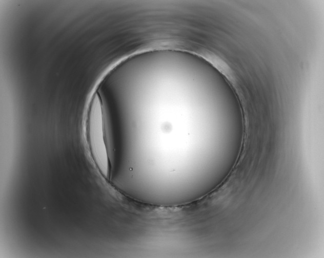 X0000096970912200802221359