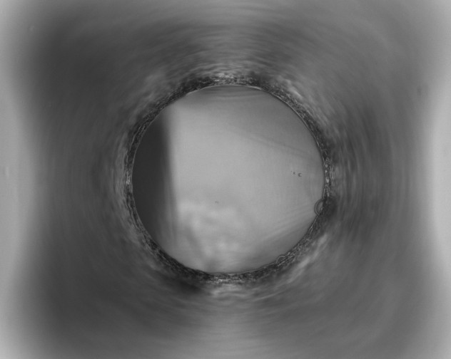 X0000096970913200802221359