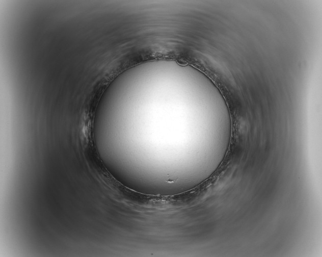 X0000096970914200802221359