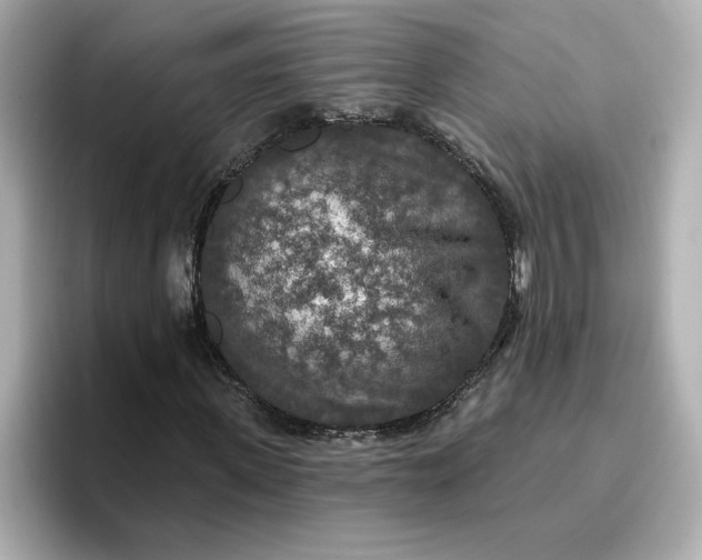 X0000096970915200802221359