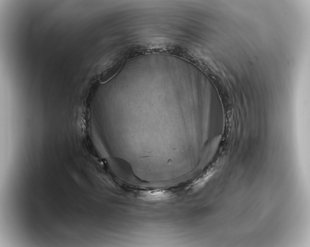 X0000096970916200802221359