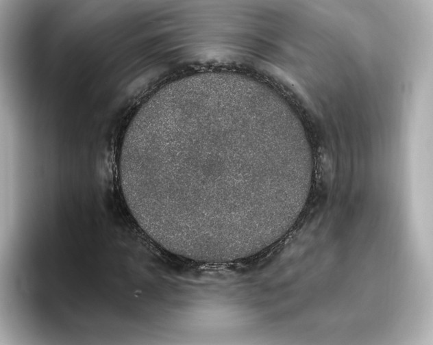 X0000096970918200802221359