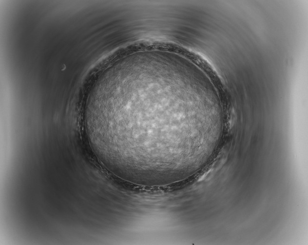 X0000096970919200802221359