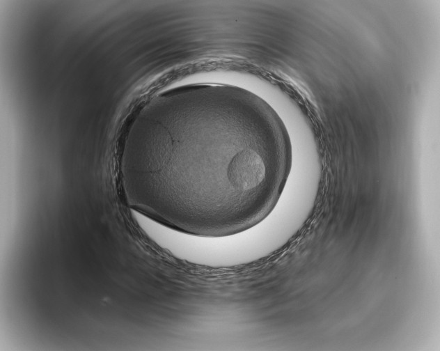 X0000096970920200802221359