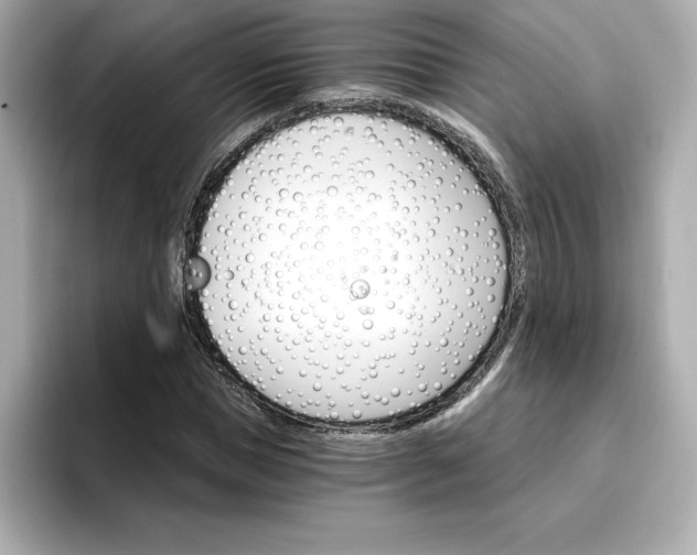 X0000096970921200802221359