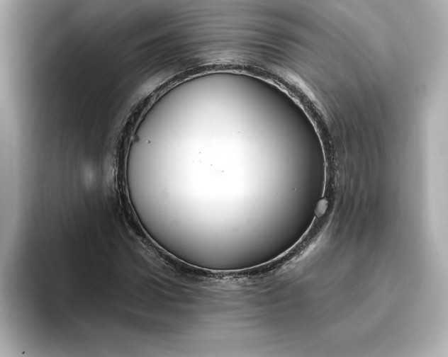 X0000096970922200802221359